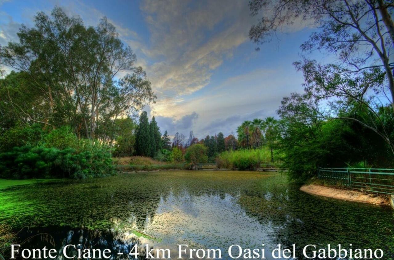 Oasi Del Gabbiano Bed & Breakfast Сиракуза Екстериор снимка